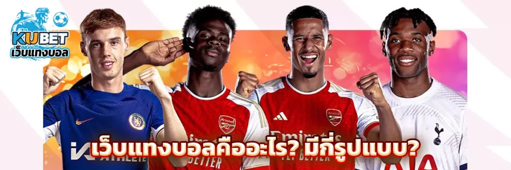 เว็บแทงบอลคืออะไร? มีกี่รูปแบบ?