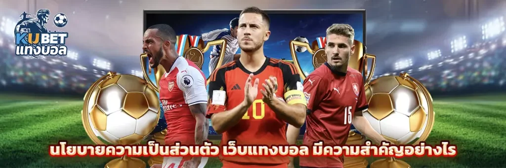 นโยบายความเป็นส่วนตัว เว็บแทงบอล